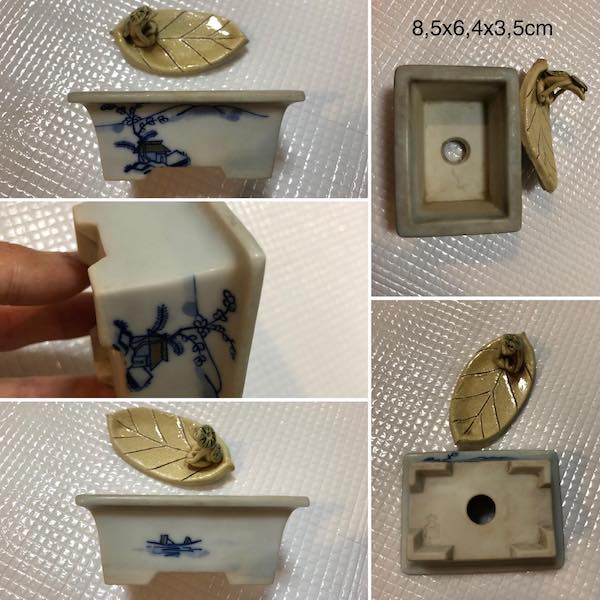 Chậu mini bonsai PLD335