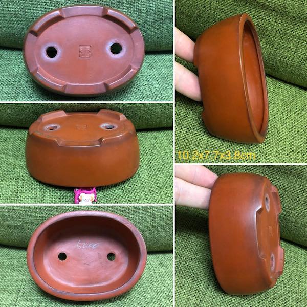Chậu mini dáng oval PLD948