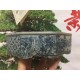 Chậu mini bonsai bát giác PLD804