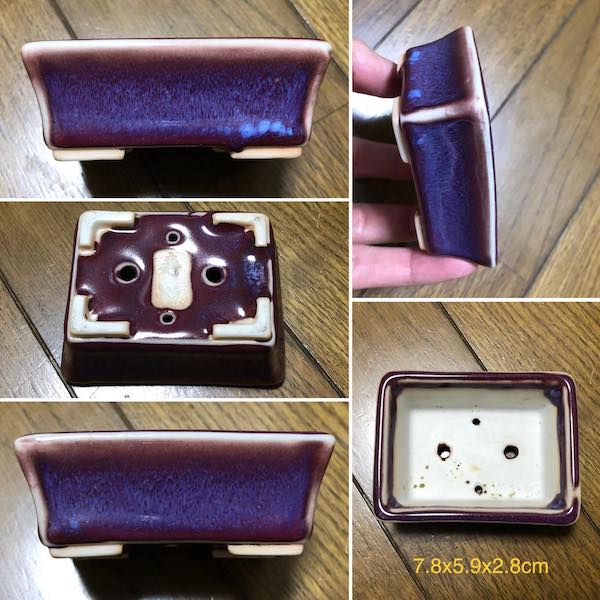 Chậu cây cảnh mini PLD902